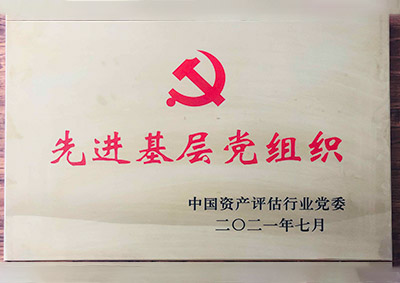 2021年荣获中国资产评估行业党委“先进基层党组织”.jpg